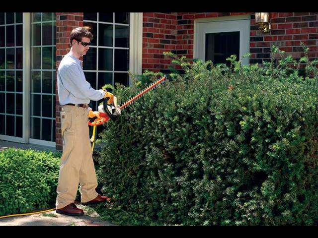 Where to find Hedge Trimmer 24 Electric in Vancouver