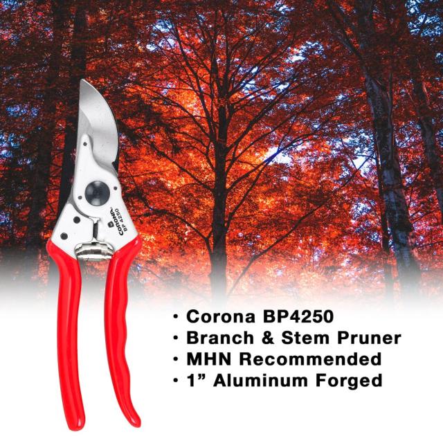 Where to rent 1  Forged Pruners,CORONA in Vancouver BC